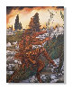 galeriagitana_apr13021026.jpg